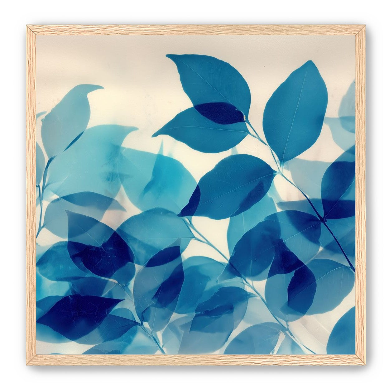 Leaves Spread in Light