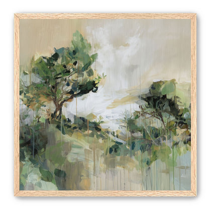 Tree Canopies in Pale Light