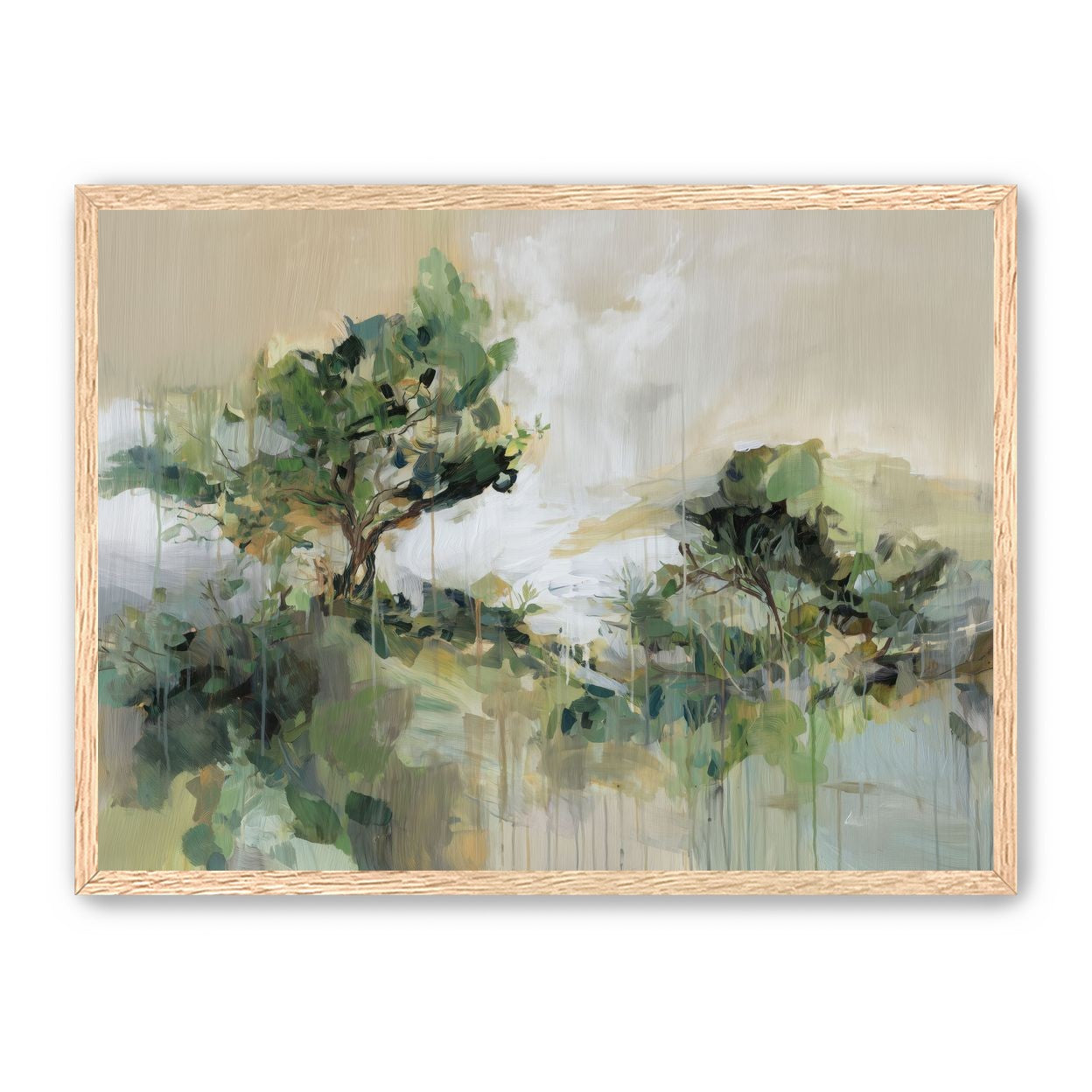 Tree Canopies in Pale Light