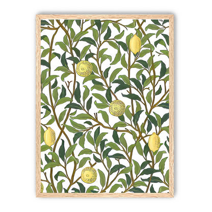 Lemon Garden
