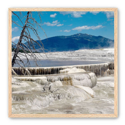 Mammoth Hot Springs