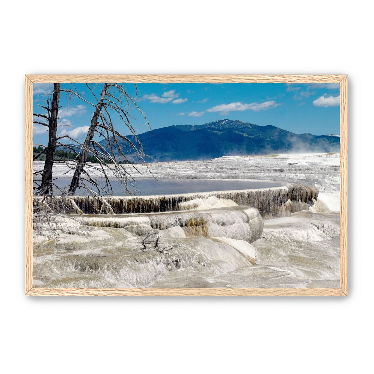 Mammoth Hot Springs