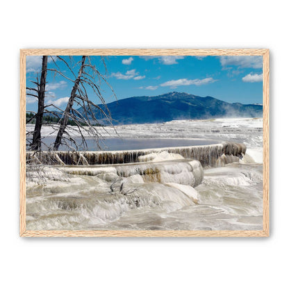 Mammoth Hot Springs