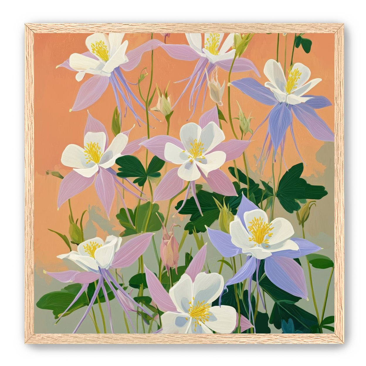Columbines in Bloom