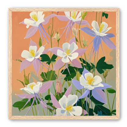 Columbines in Bloom