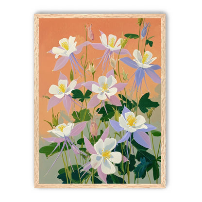 Columbines in Bloom