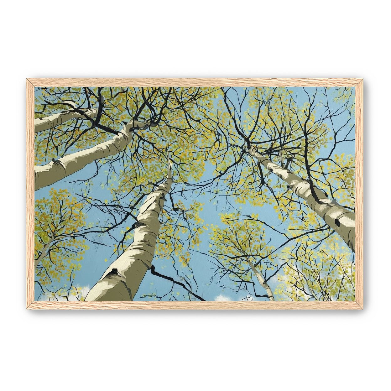 Yellow Leaves Against the Sky