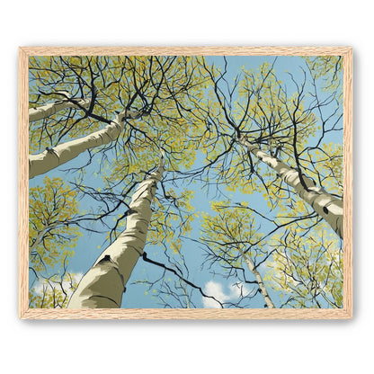 Yellow Leaves Against the Sky