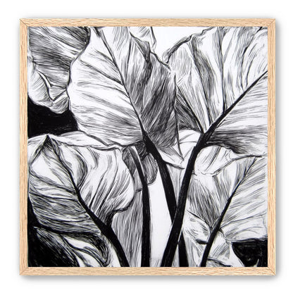 Overlapping Leaves on Dark Ground