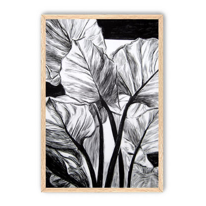 Overlapping Leaves on Dark Ground