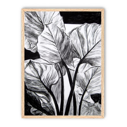 Overlapping Leaves on Dark Ground