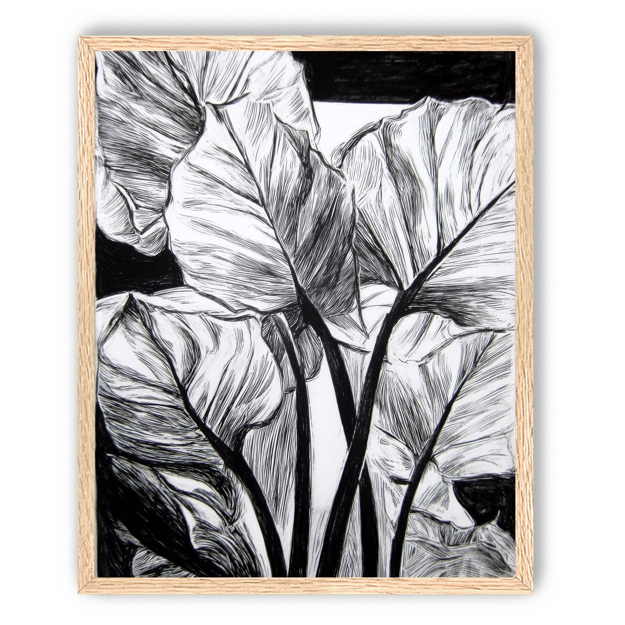 Overlapping Leaves on Dark Ground