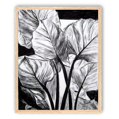 Overlapping Leaves on Dark Ground