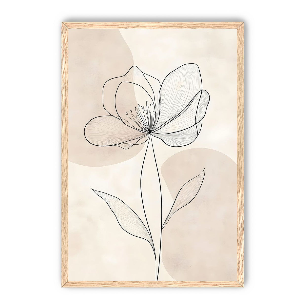 Single Bloom