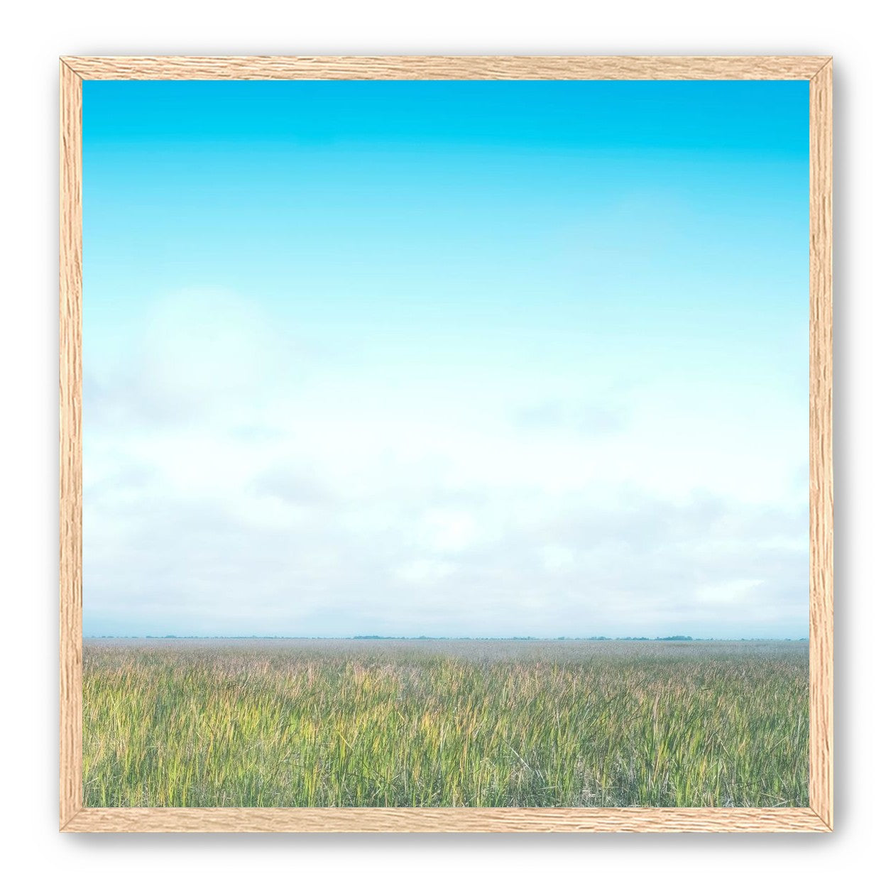 Grasslands