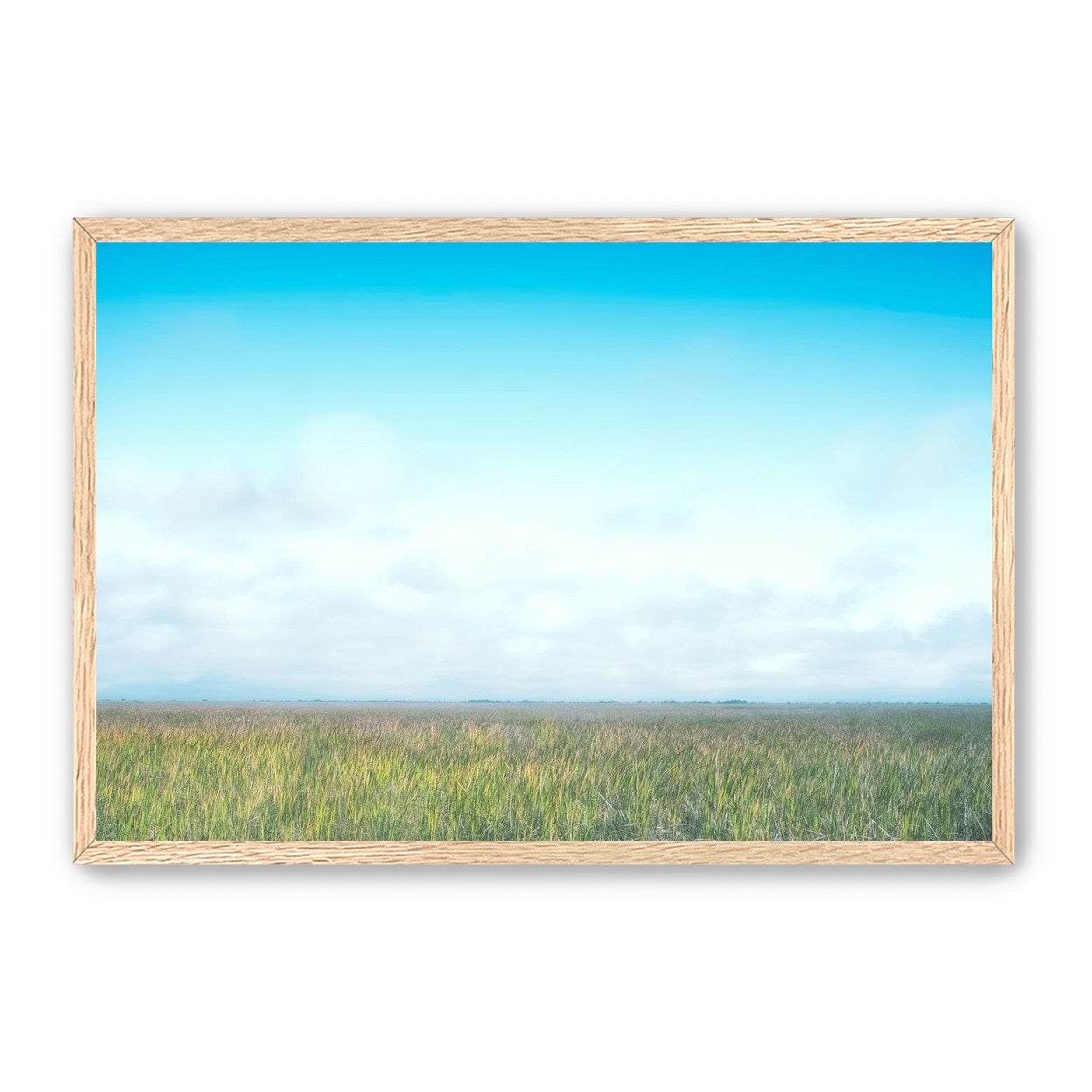Grasslands