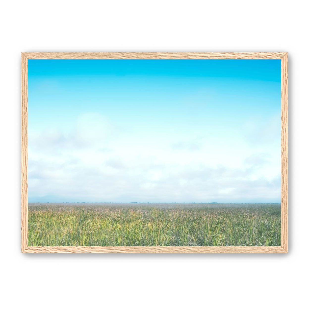 Grasslands