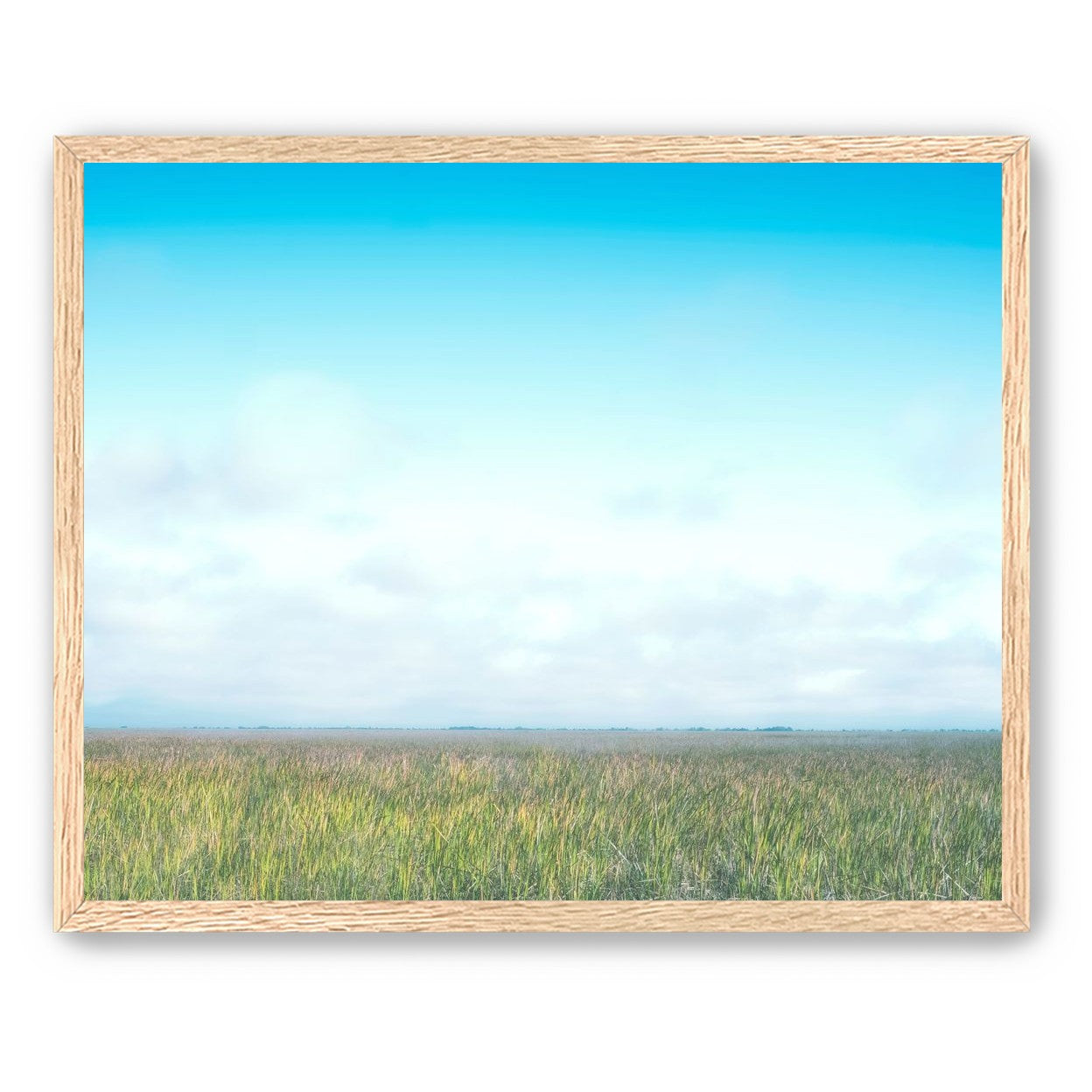 Grasslands