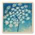 Laceflower Bloom