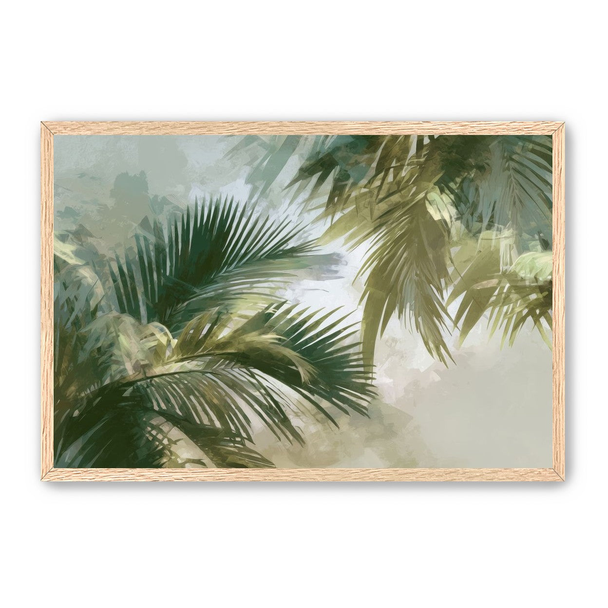 Palm Canopy