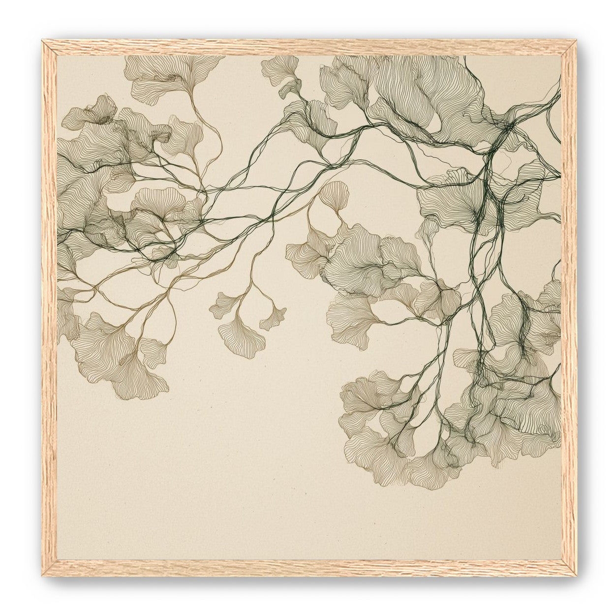 Open Canopies in Ink