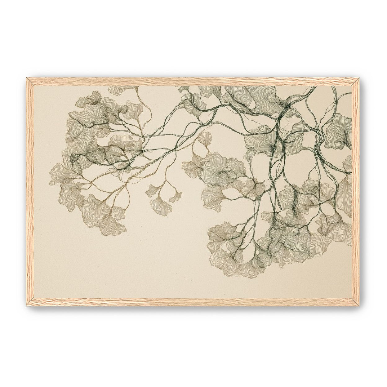 Open Canopies in Ink