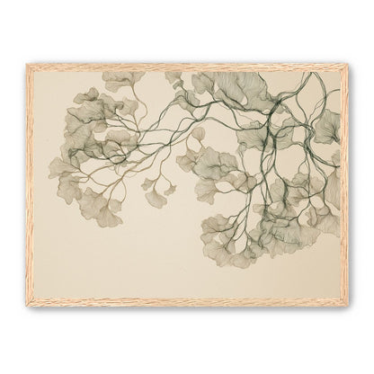 Open Canopies in Ink