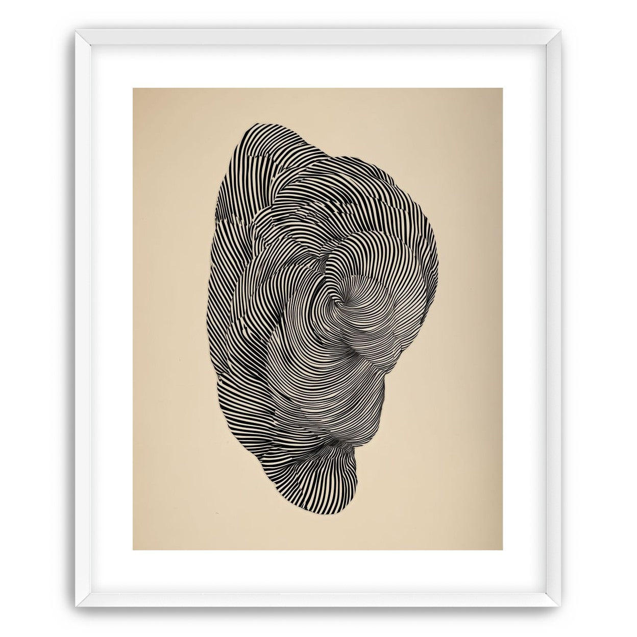 Vortex in a striped head