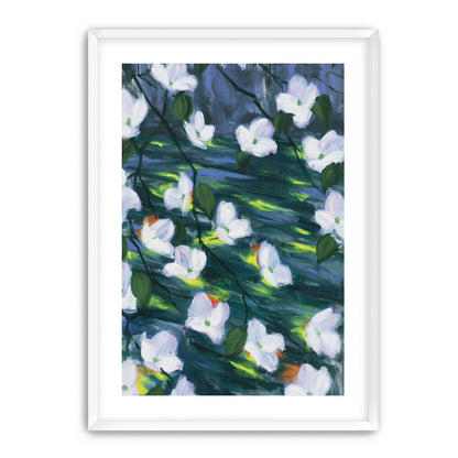 White blossoms on dark water
