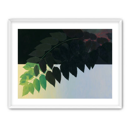 Leaves crossing into shadow