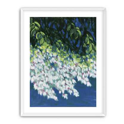 White blossoms in blue shade