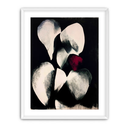 Red petal in shadowed bloom