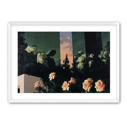 Roses under green towers