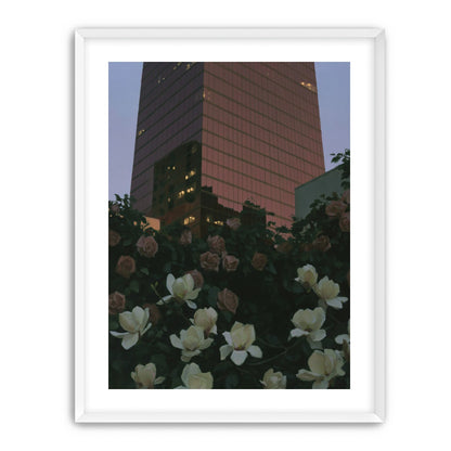 Pink tower above magnolias
