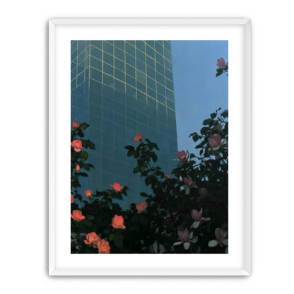 Roses beneath blue towers