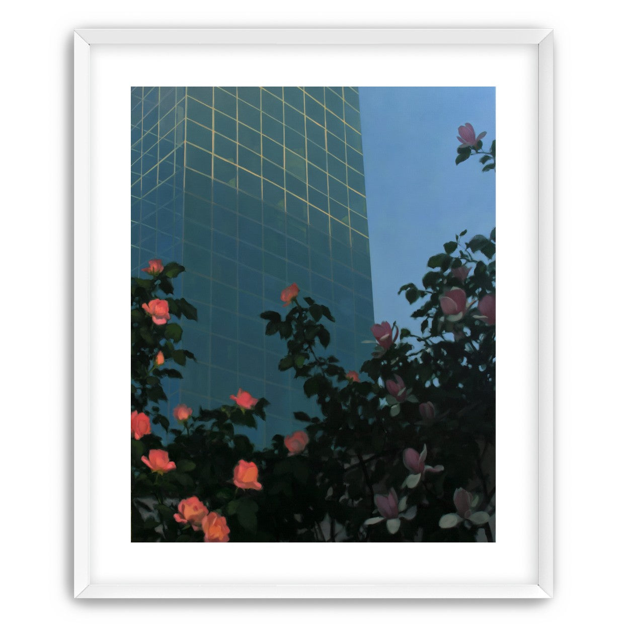 Roses beneath blue towers