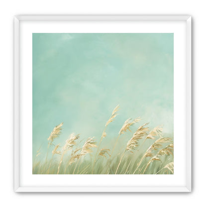 Turquoise sky over pale grass