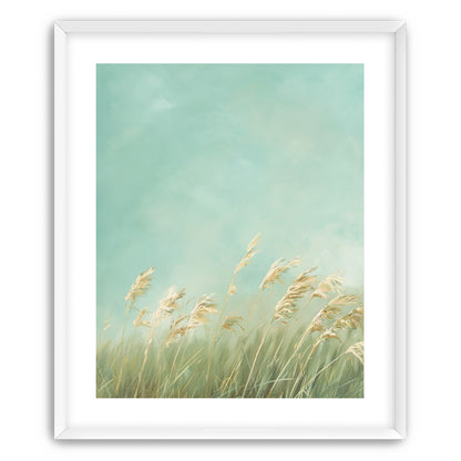 Turquoise sky over pale grass