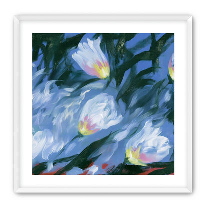 White tulips on blue ground
