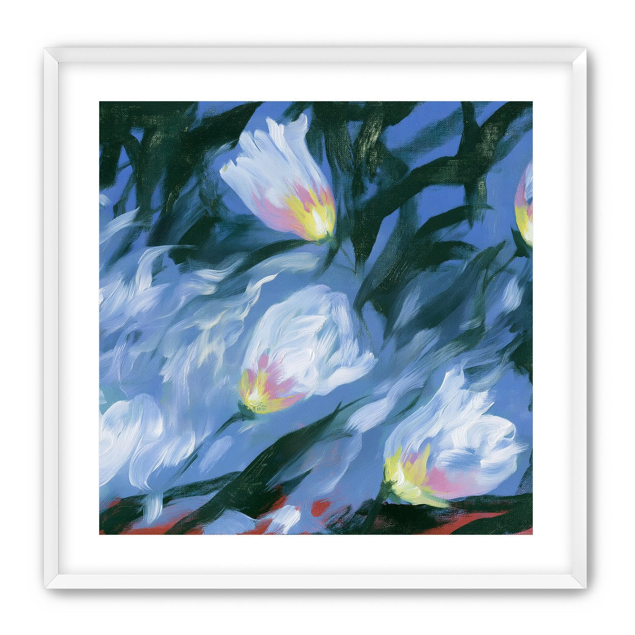 White tulips on blue ground