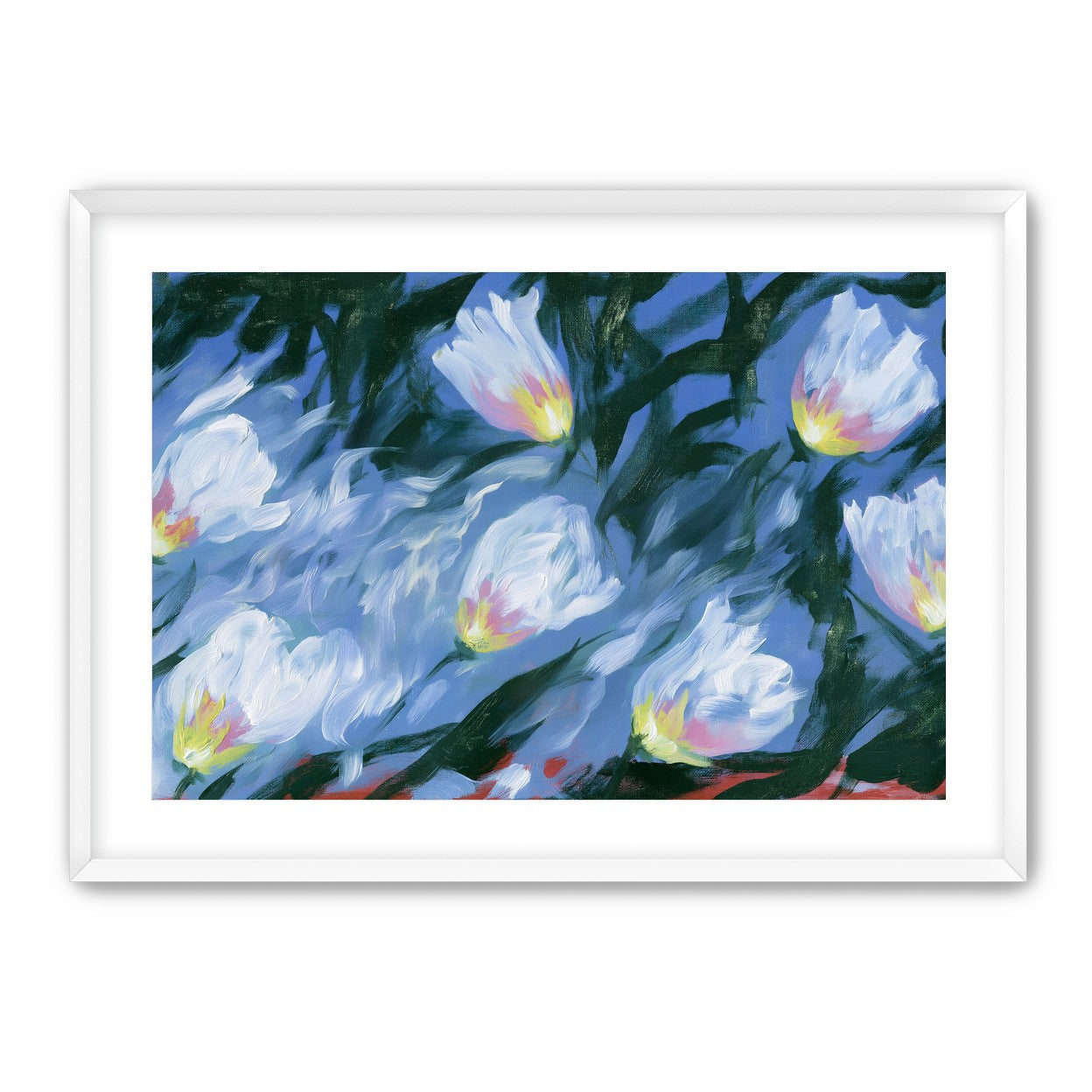 White tulips on blue ground