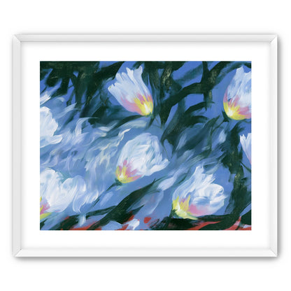 White tulips on blue ground
