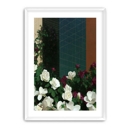 Roses against the blue grid