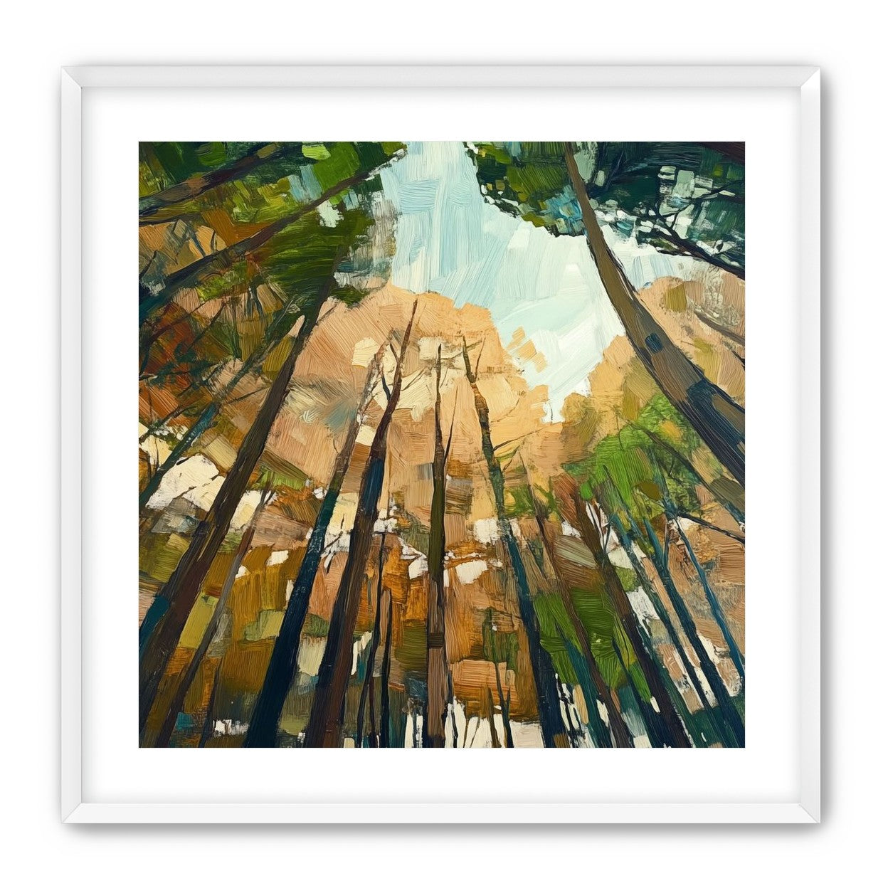 Canopy Lightfall