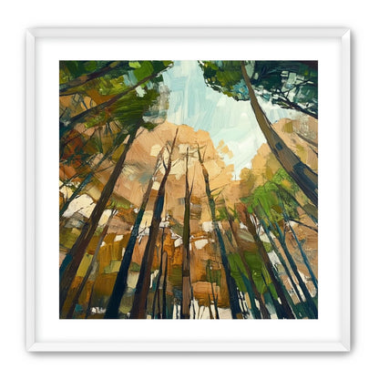 Canopy Lightfall