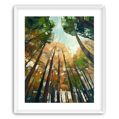Canopy Lightfall