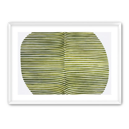 Dark green stripes crease inward