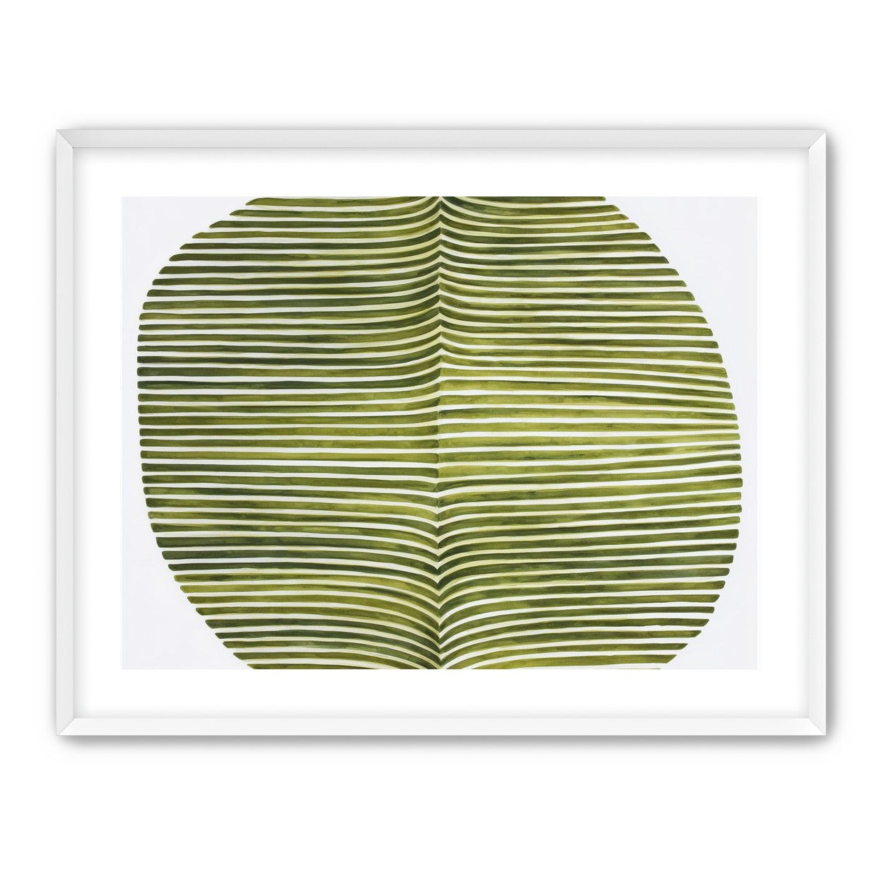 Dark green stripes crease inward