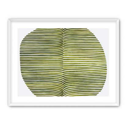 Dark green stripes crease inward