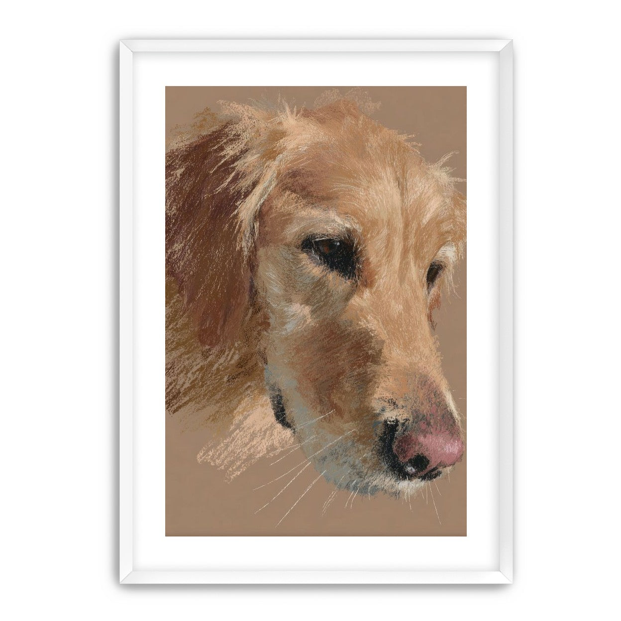Warm browns on a golden retriever